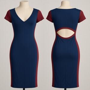 W.SHE Navy Bodycon Dress Large Cutout Back Colorblock‎ V Neck Sexy Stretch Club